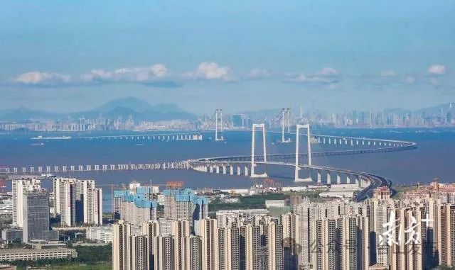 11月底,深中通道主线全线贯通。 南方+ 叶志文 拍摄 图片