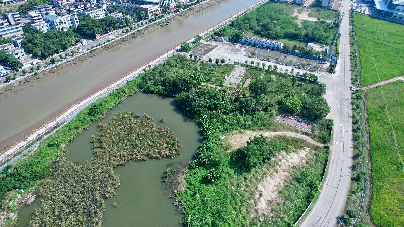 绿美生态小公园02 .jpg