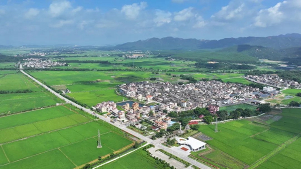 b01.jpg