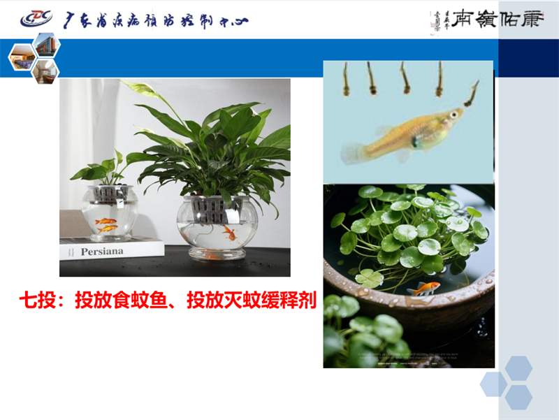 图片8.png