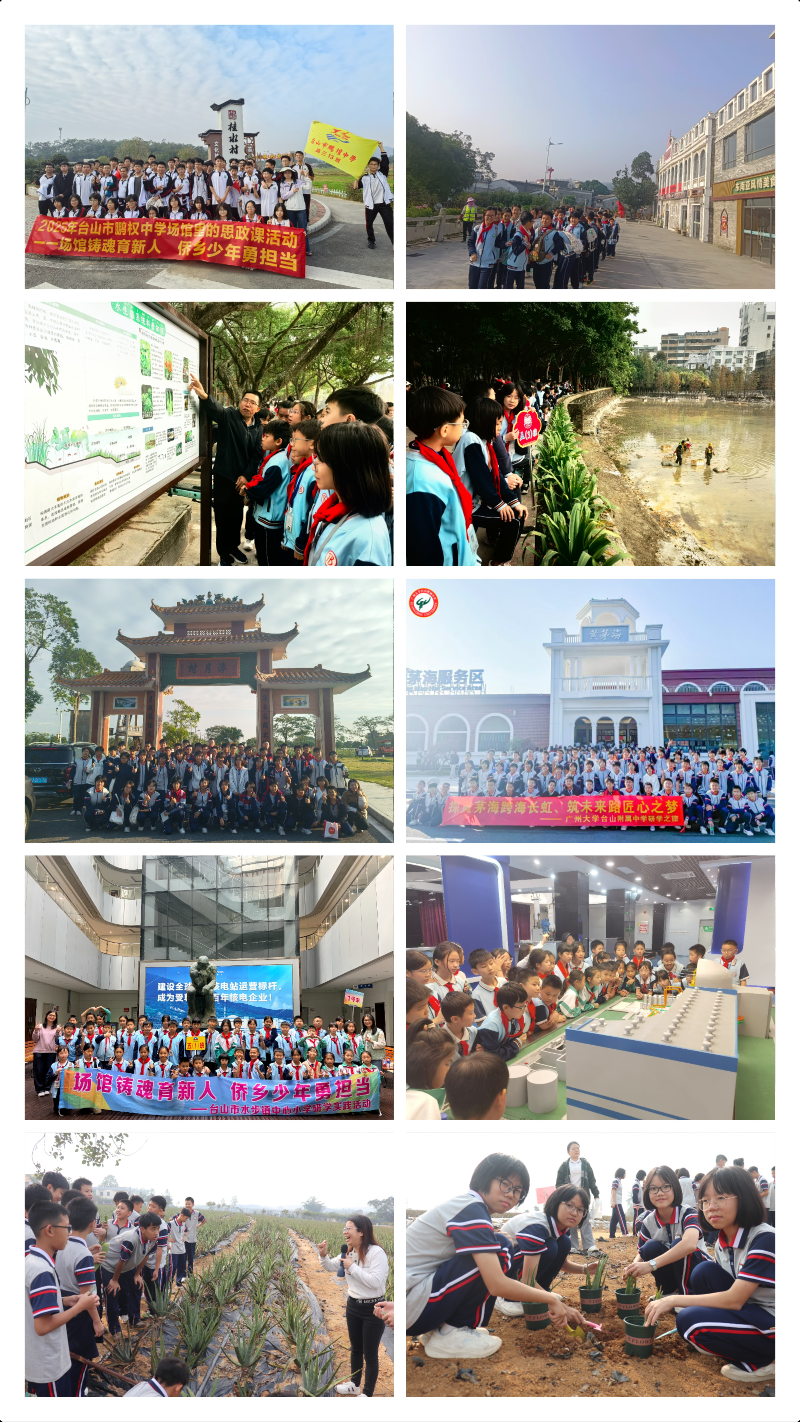 layout-collage-1769152566180.jpg