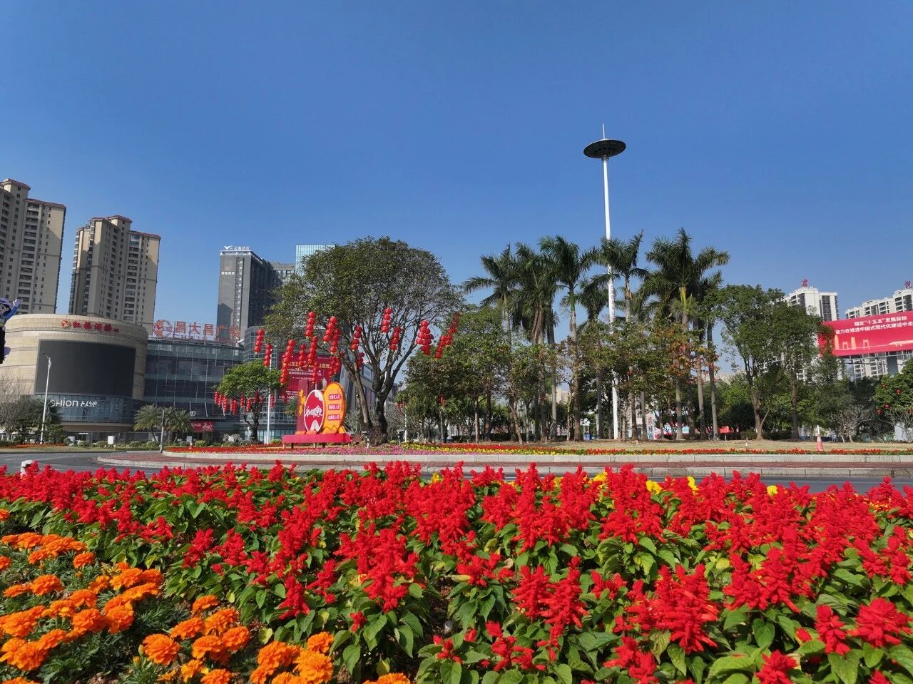 微信图片_2026-02-11_155628_203.jpg