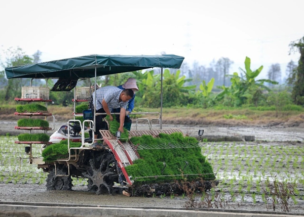 07.jpg