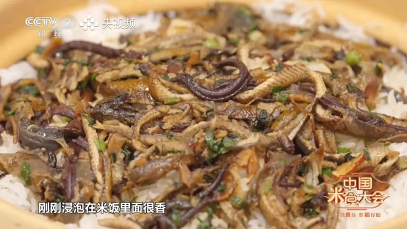 微信图片_20250126085243.jpg