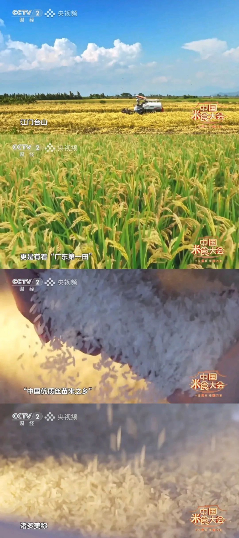 微信图片_20250126085112.jpg