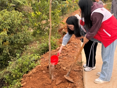 早禾石村两委干部、驻点组干部开展乡村绿化主题植树活动.jpg