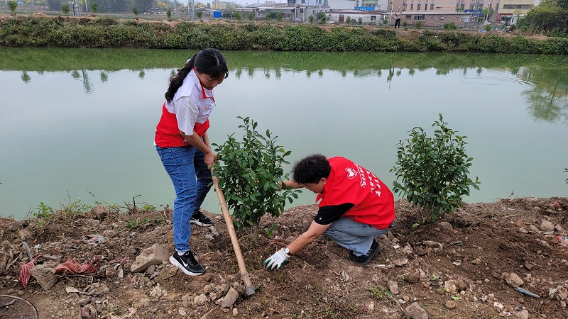 植树1.jpg