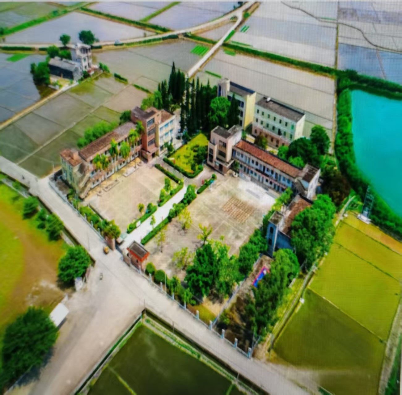 台山市广海镇振华小学 学校图片.jpg